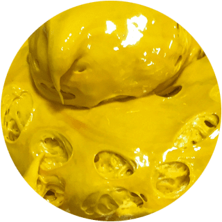 supercritical Botanical Extraction