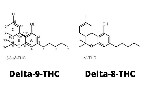 What is the difference between Delta-9-THC and Delta-8-THC?