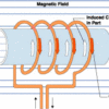 75mm ID with 8mm Copper Tubing Insulated Vertical Induction Coil - Image 2